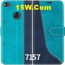 Login Seguro 7157